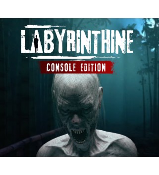 Labyrinthine Console Edition PS5 PlayStation 5 Key EUROPE